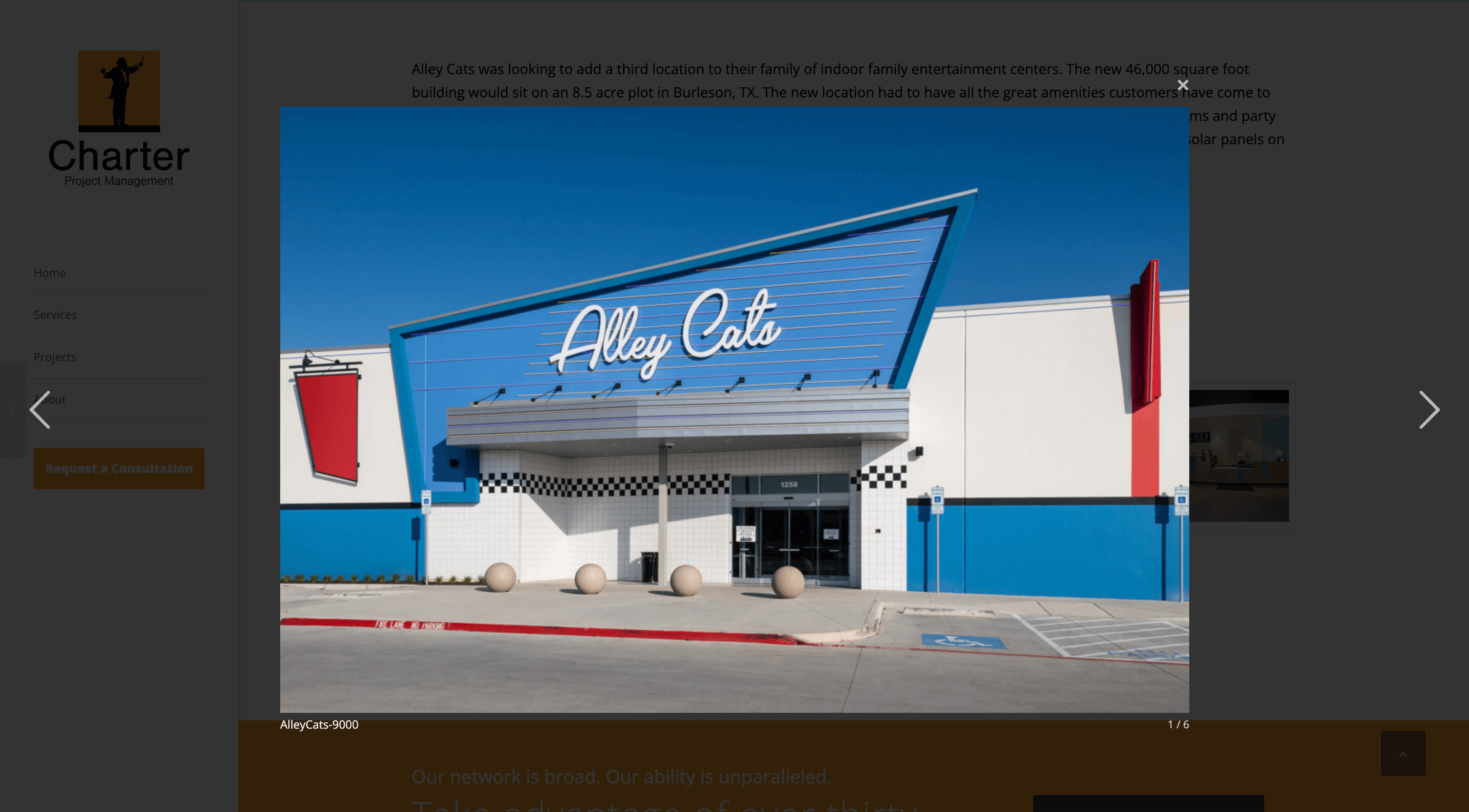 Projects z alley cats image