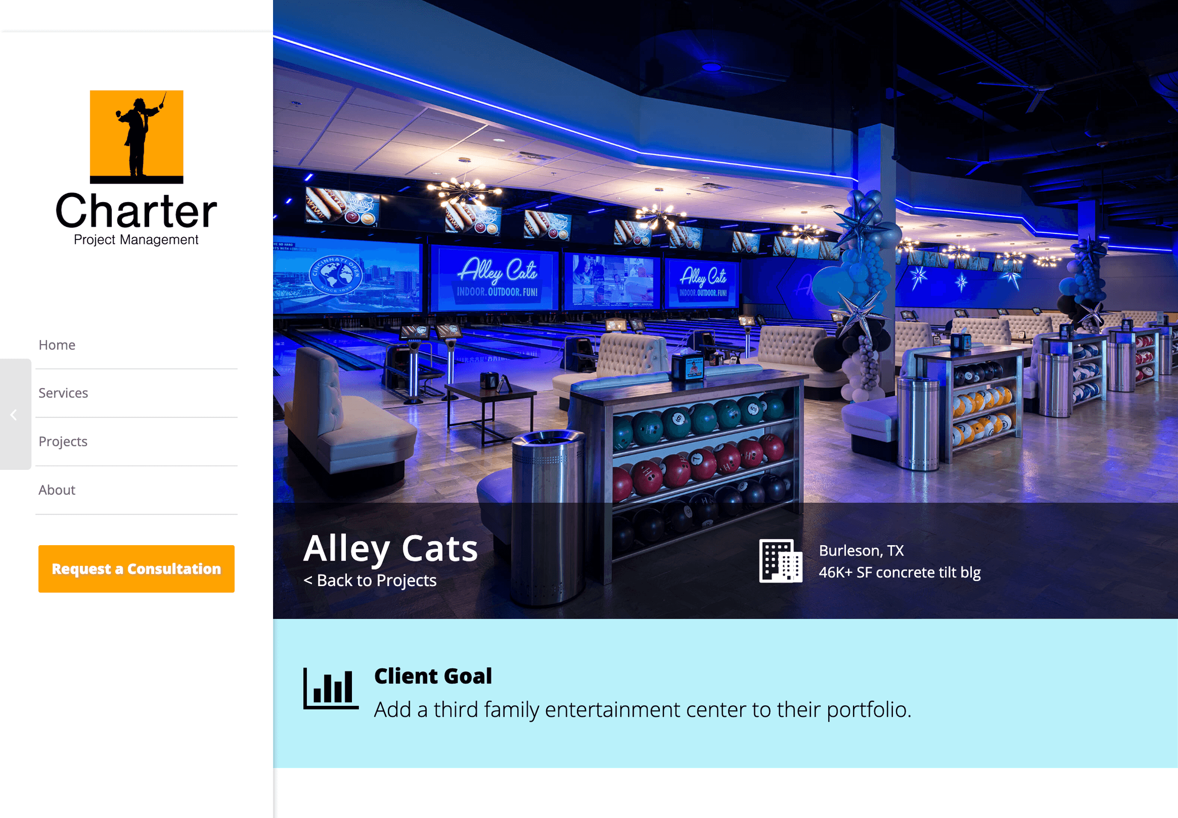 Projects z alley cats